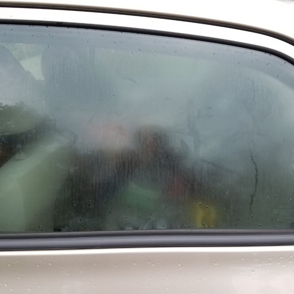 condensa auto